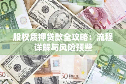 济南股权质押贷款全攻略：流程详解与风险预警