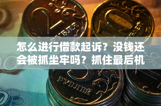 济南怎么进行借款起诉？没钱还会被抓坐牢吗？抓住最后机会！