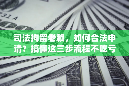 济南司法拘留老赖，如何合法申请？搞懂这三步流程不吃亏！