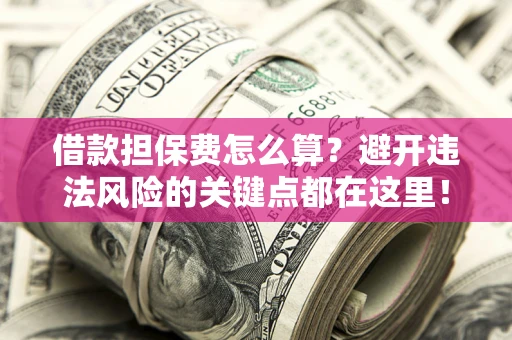 济南借款担保费怎么算？避开违法风险的关键点都在这里！