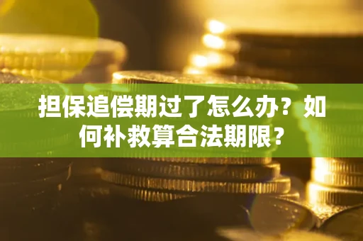 济南担保追偿期过了怎么办？如何补救算合法期限？